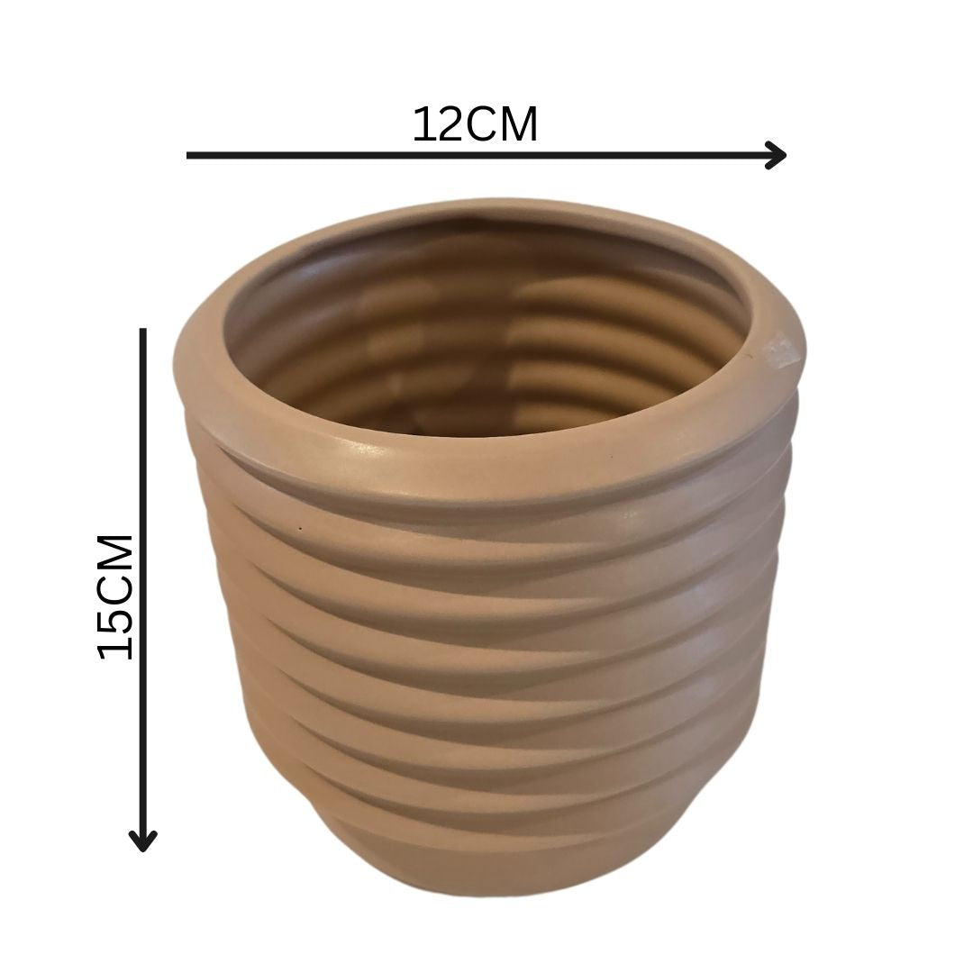 Berlin Ceramic Planter | Potted Berlin Planter | Hello Plants