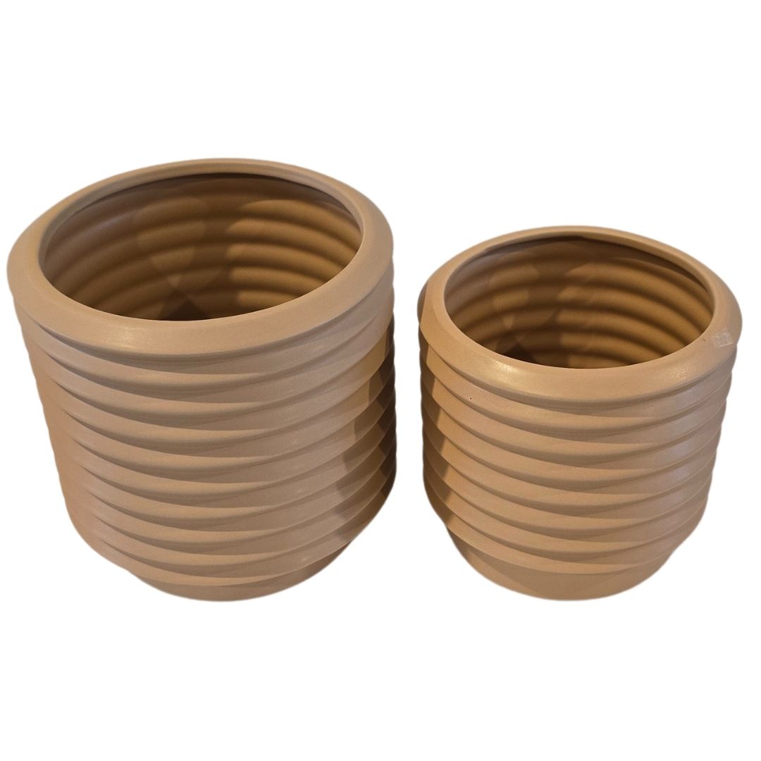 Berlin Ceramic Planter | Potted Berlin Planter | Hello Plants