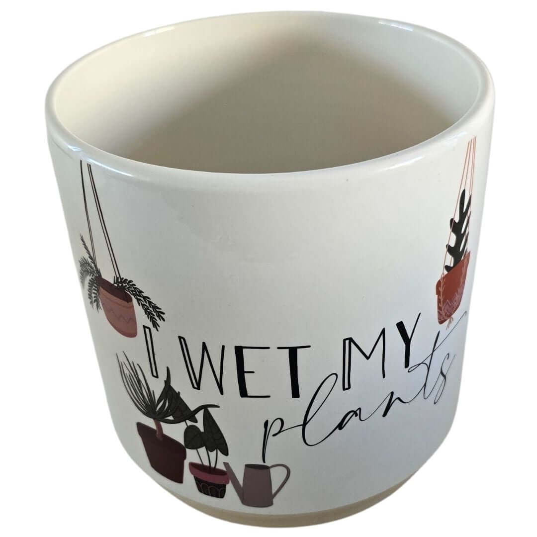 Stylish Ceramic Planter | Ceramic Planter | Hello Plants