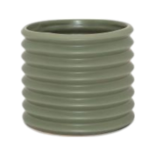 Small Berlin Planter Eucalypt - Hello Plants