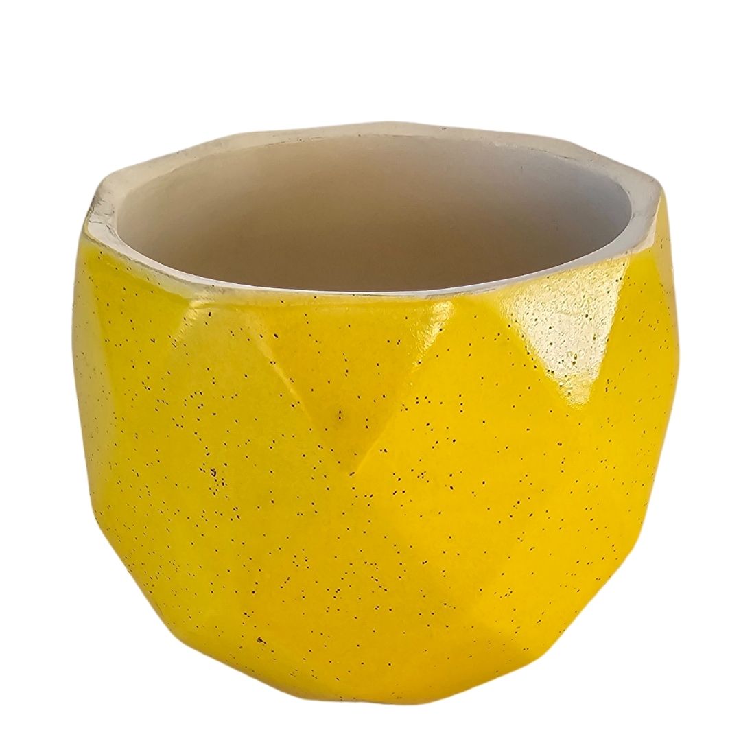 Geometric Ceramic Planters | Stylish Ceramic Planters | Hello Plants