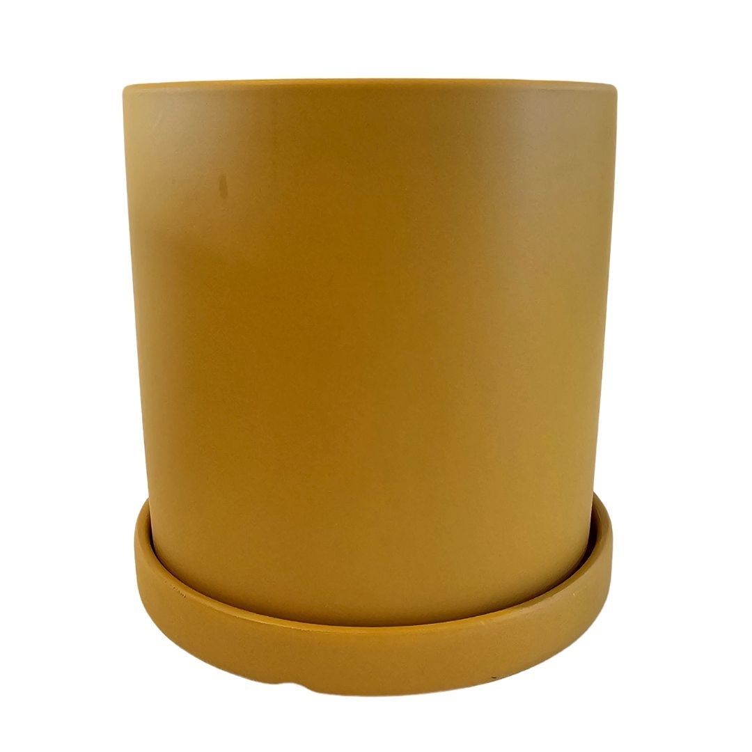 Modern Cylindrical Planter | Cylindrical Planter | Hello Plants