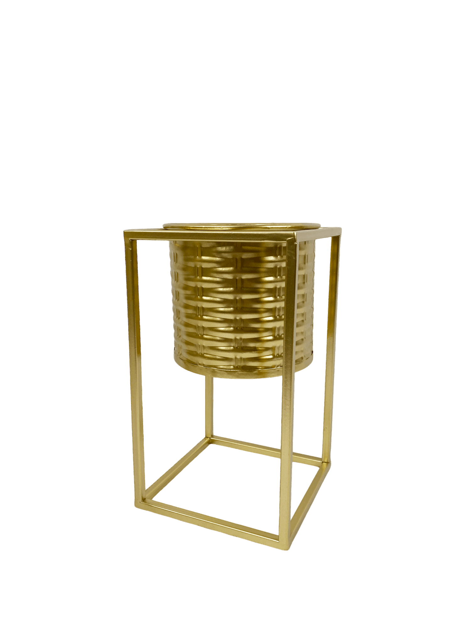 Golden Metal Planter | Stylish Metal Planter | Hello Plants