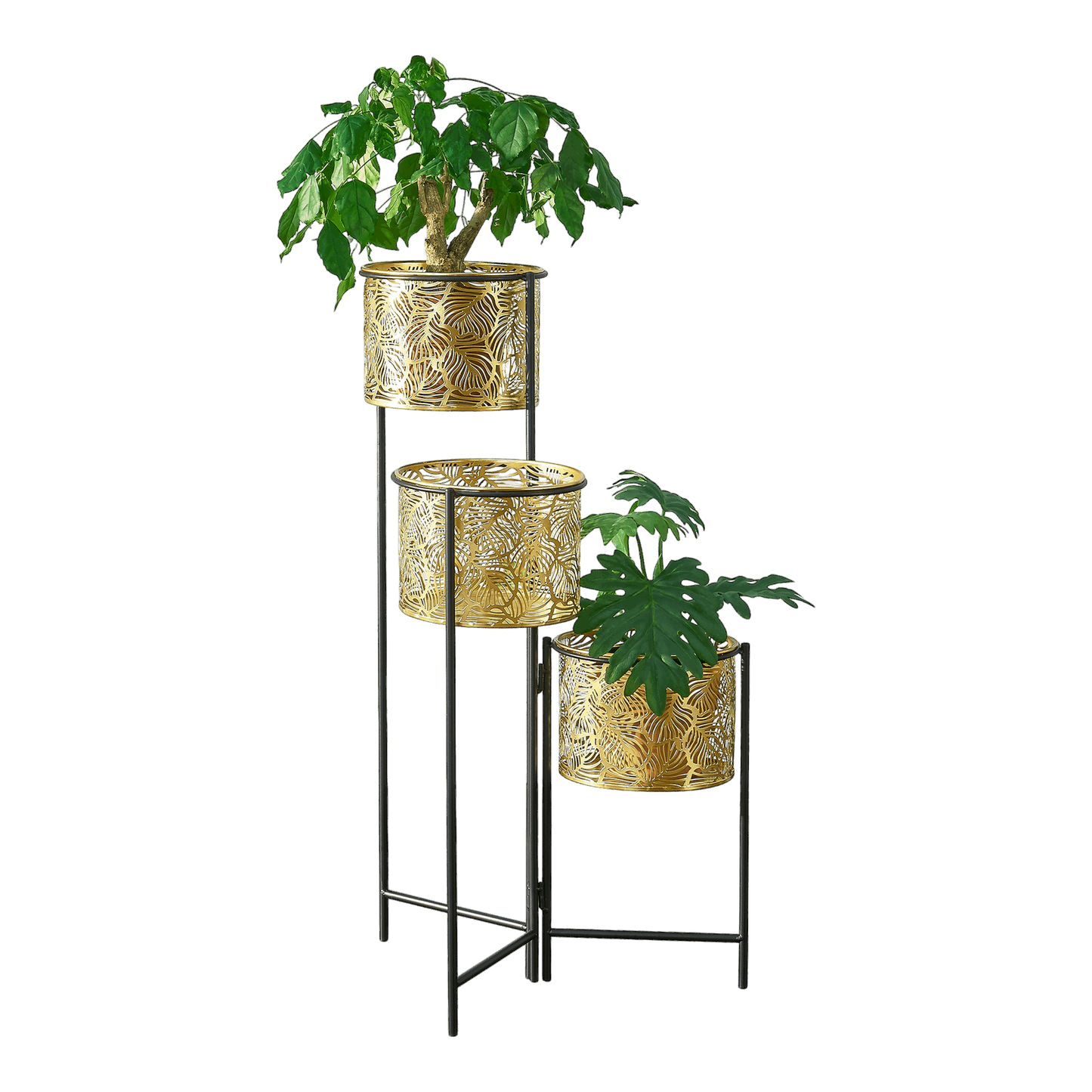 Exquisite Gold Leaf Planter | Exquisite Gold Planter | Hello Plants
