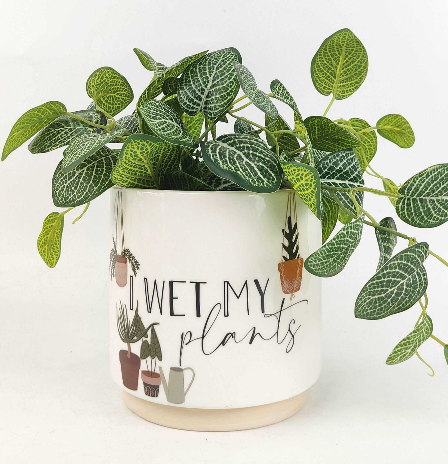 Stylish Ceramic Planter | Ceramic Planter | Hello Plants