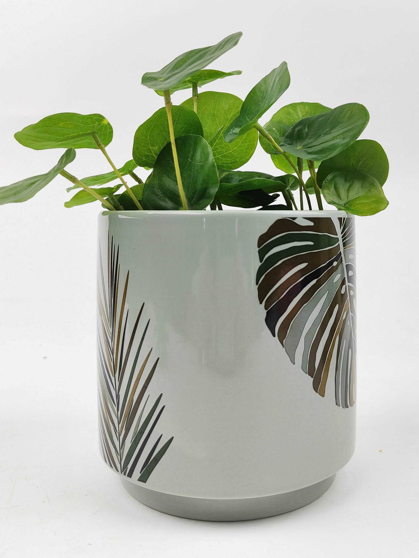 Ceramic Plant Pots | Stylish Ceramic Pots | Ceramic Pot | Hello Plants