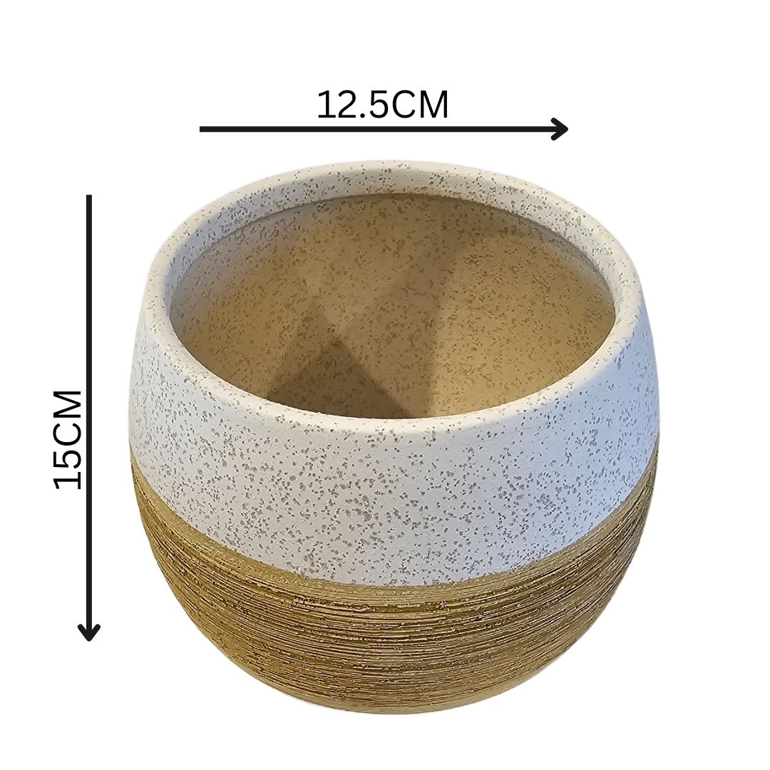 Horizon Ceramic Planter | Ceramic Planter | Hello Plants