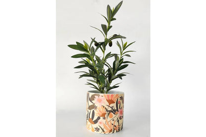 Floral Ceramic Planter | Floral Planter | Hello Plants