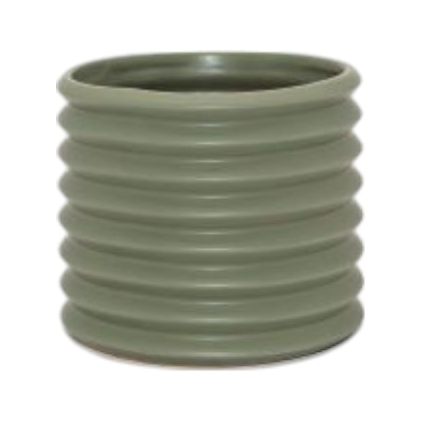 Small Berlin Planter Eucalypt