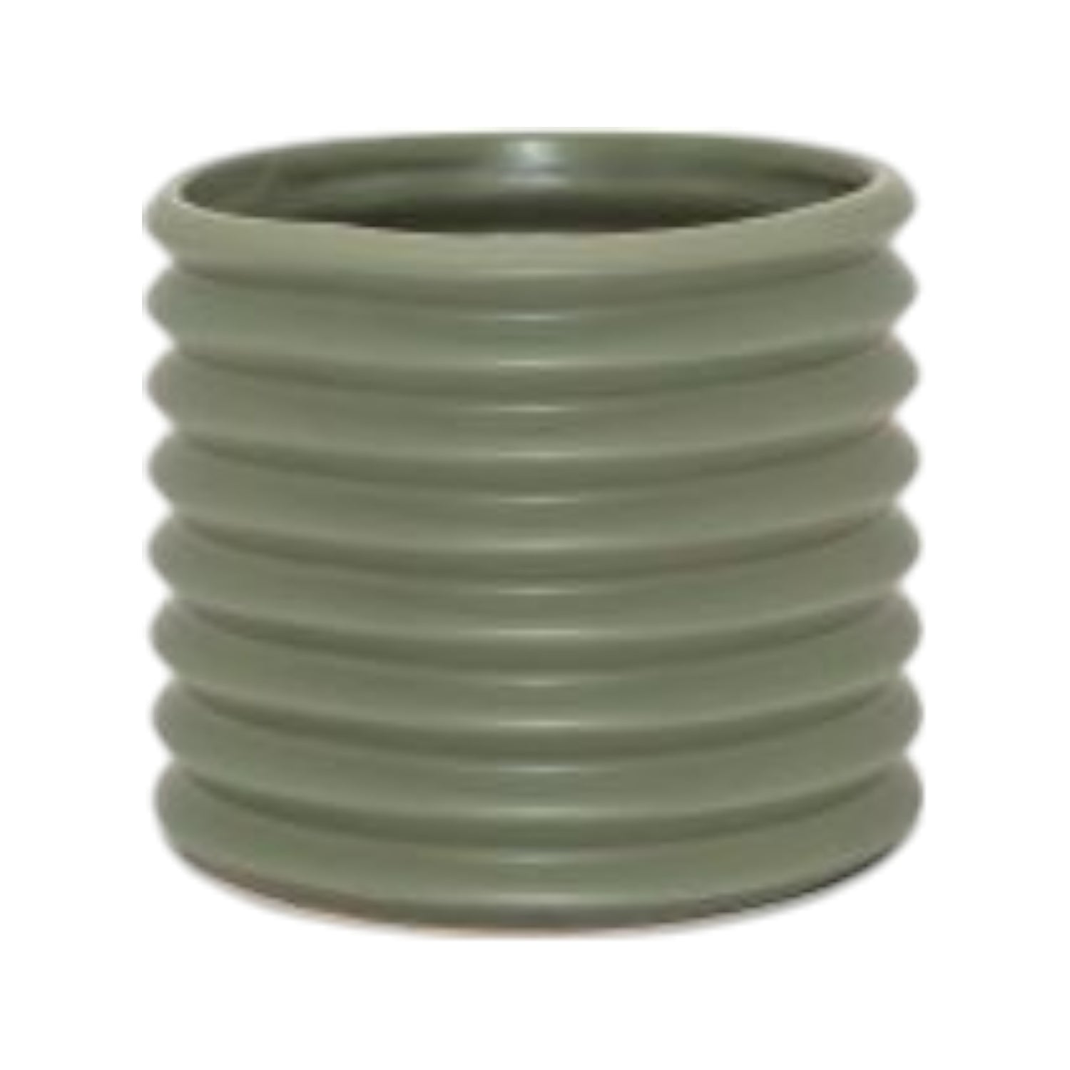Small Berlin Planter Eucalypt - Hello Plants