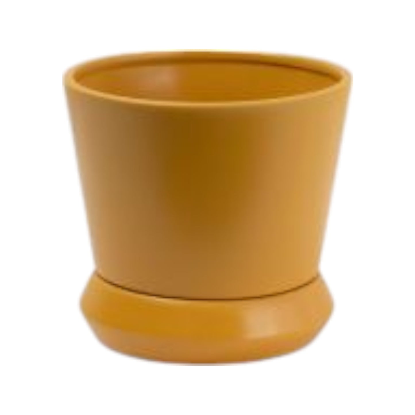 Small Hamburg Planter Tobacco