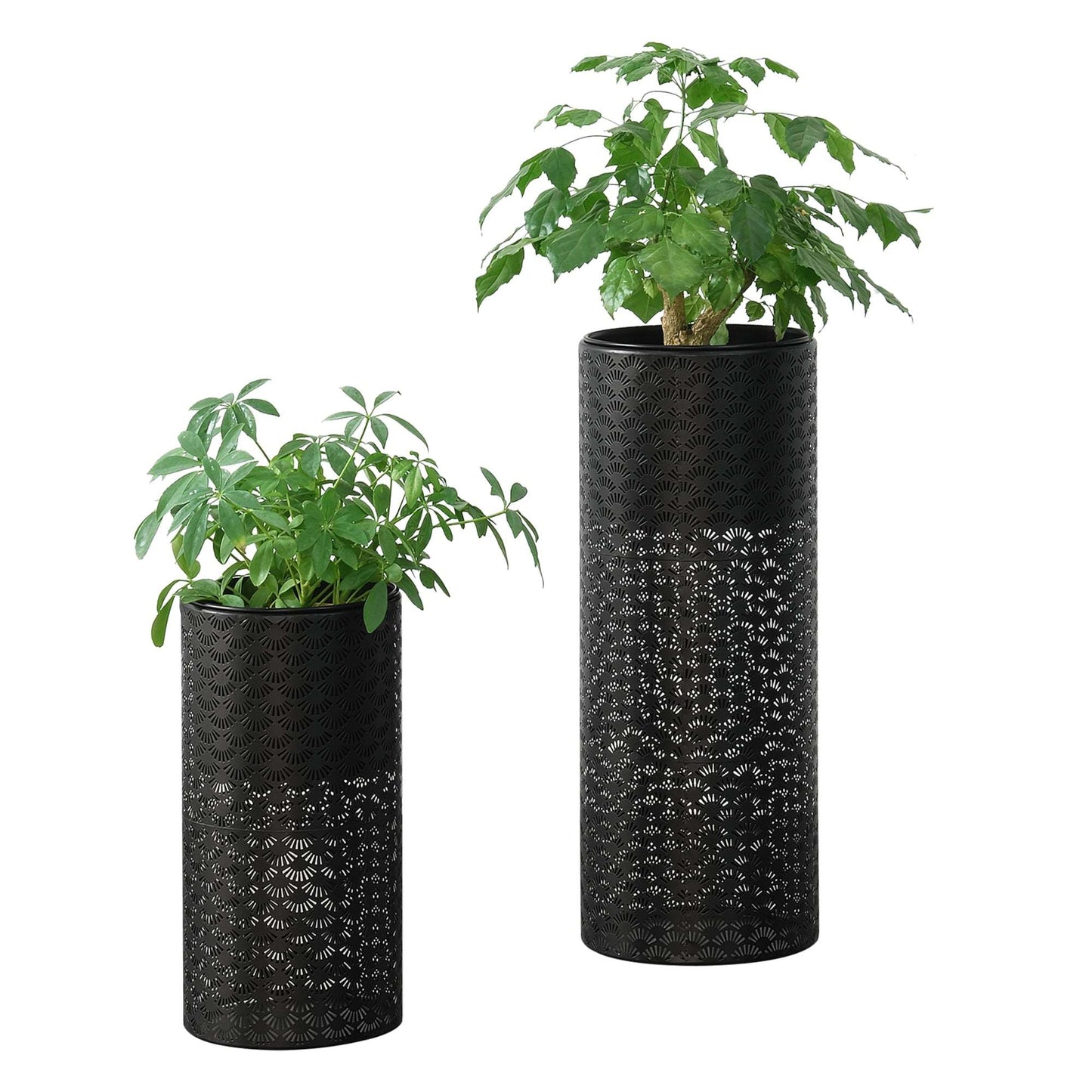 Black Cylinder Planter | Indoor Cylinder Planter | Hello Plants