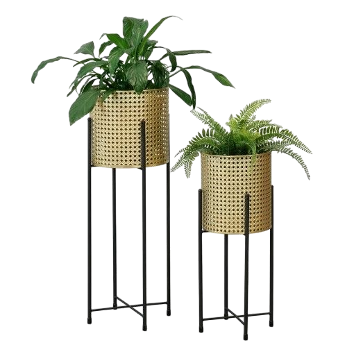 Elysian Gold Planter Set | Elysian Planter Set | Hello Plants