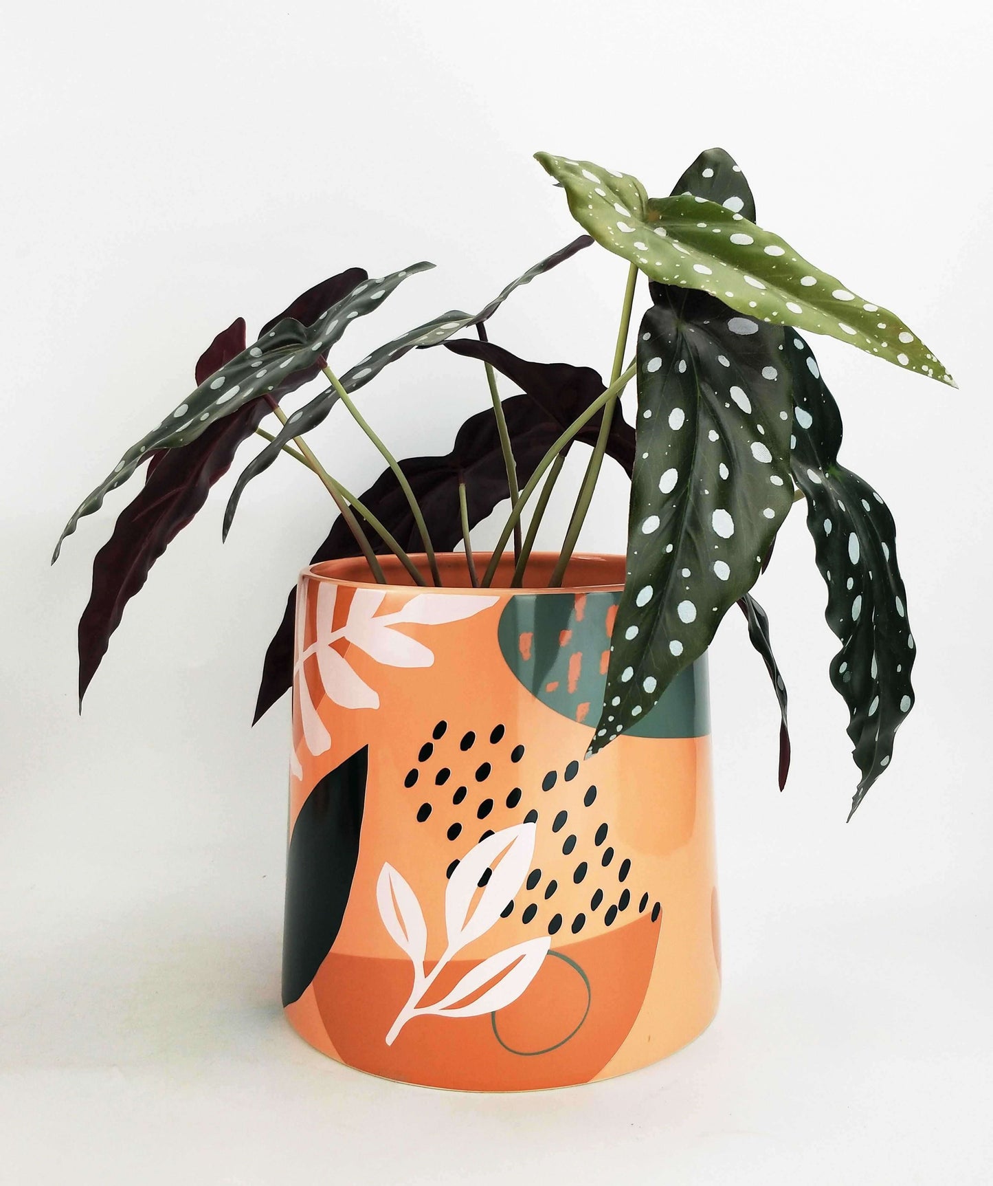 Printed Ceramic Planter | Printed Planter | Hello Plants