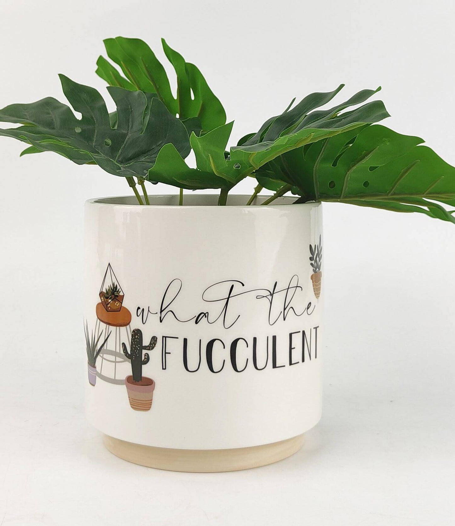 Unique Plant Pots | Stylish Plant Pots | Hello Plants