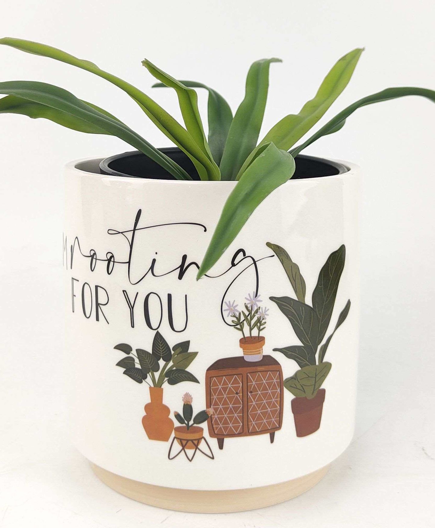 Ceramic Plant Planter | Stylish Plant Planter | Hello Plants