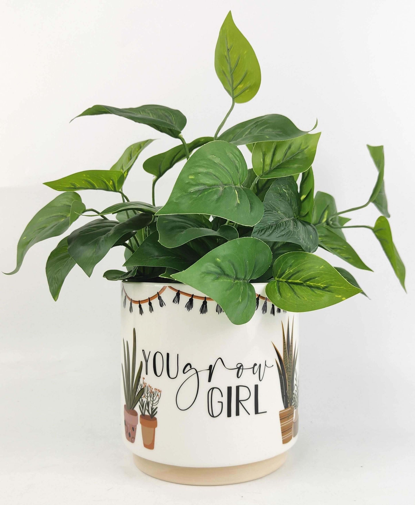 Stylish Decor Planter | Shop Stylish Planters | Hello Plants