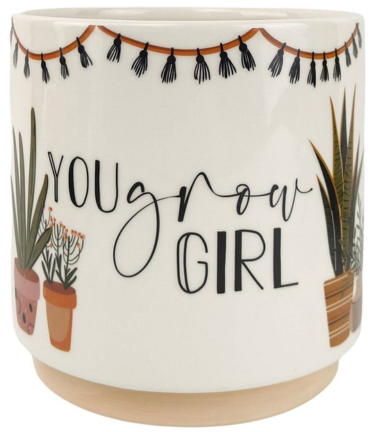 Stylish Decor Planter | Shop Stylish Planters | Hello Plants