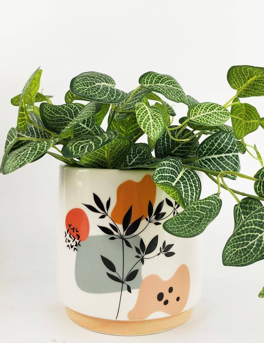 Home Decor Planters | Home Plant Planters | Hello Plants