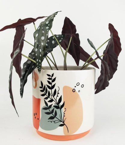 Indoor Plant Planters | Indoor Stylish Planters | Hello Plants