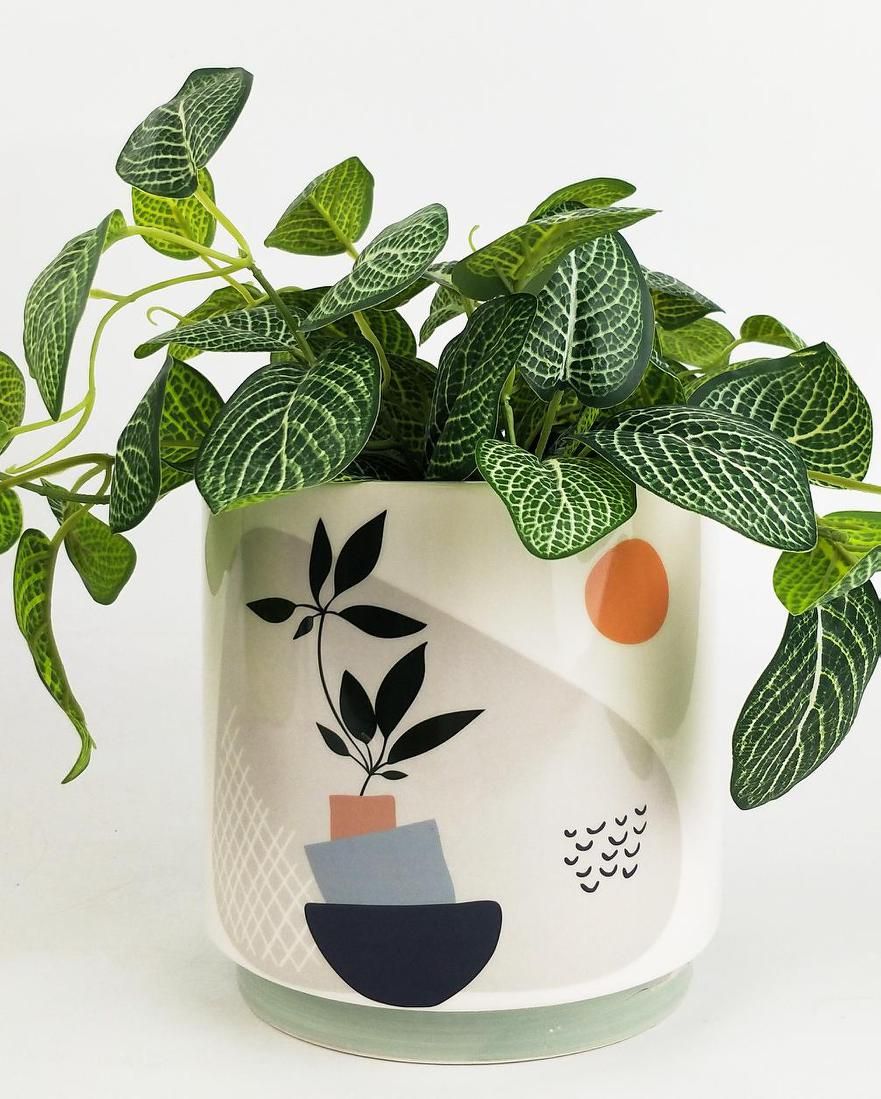 Abstract Planters | Indoor Modern Plant Planters | Hello Plants