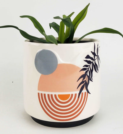 Abstract Rainbow Planter | Abstract Rainbow Planter | Hello Plants