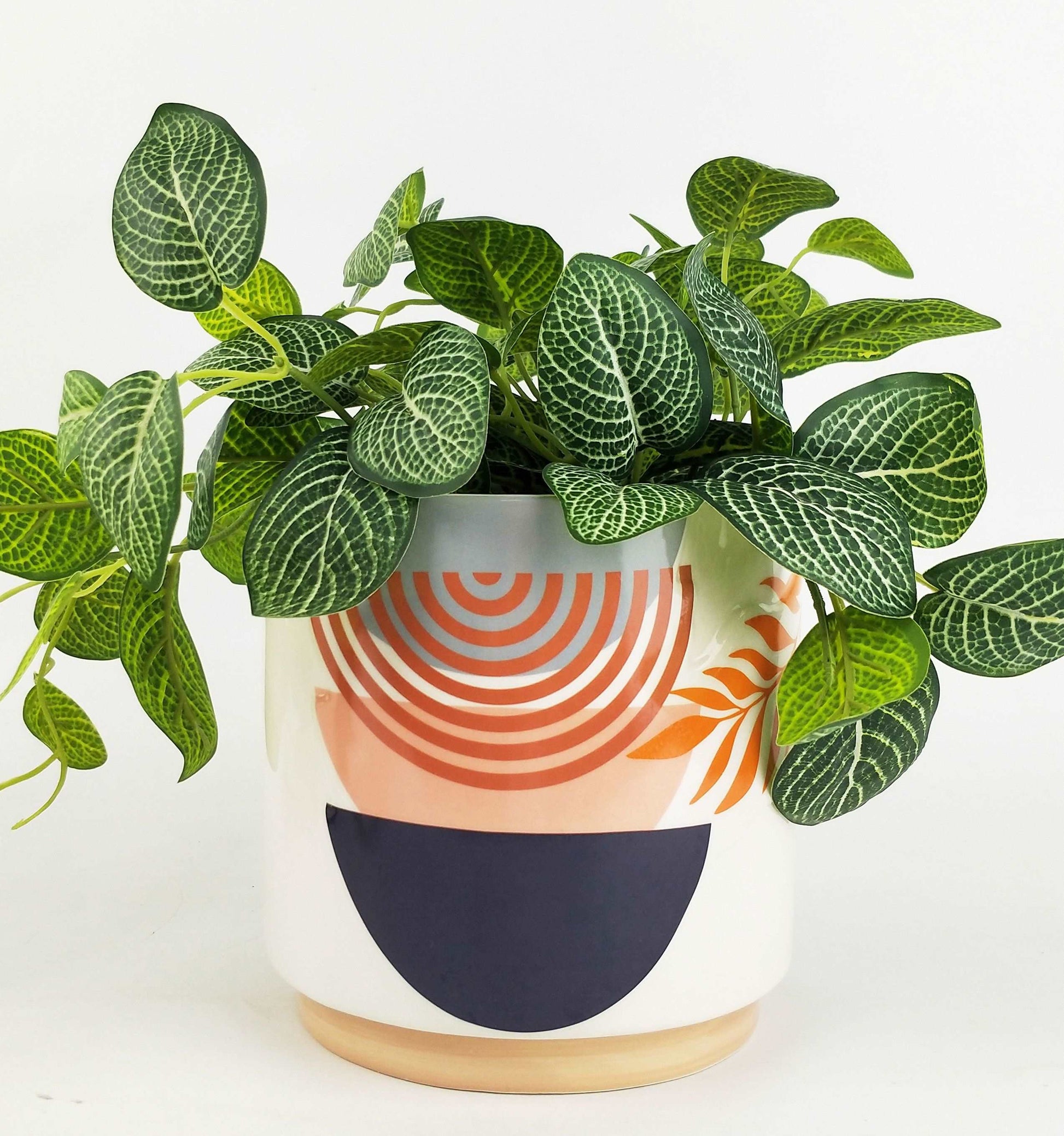 Urban Quinn Abstract Rainbow Planter 16cm