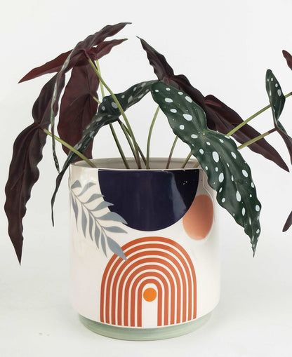 Abstract Indoor Planter | Indoor Plant Pots | Hello Plants