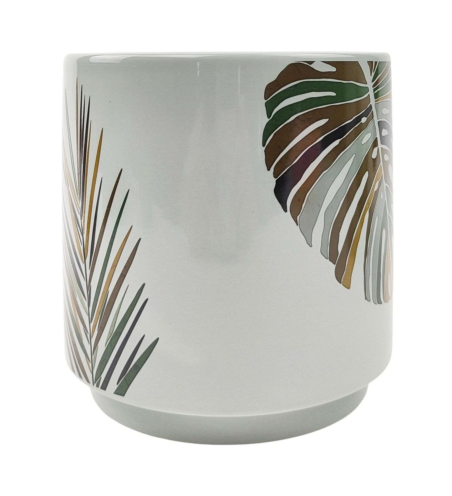 Ceramic Plant Pots | Stylish Ceramic Pots | Ceramic Pot | Hello Plants