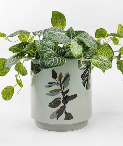 Modern Ceramic Pots | Modern Ceramic Pots | Hello Plants