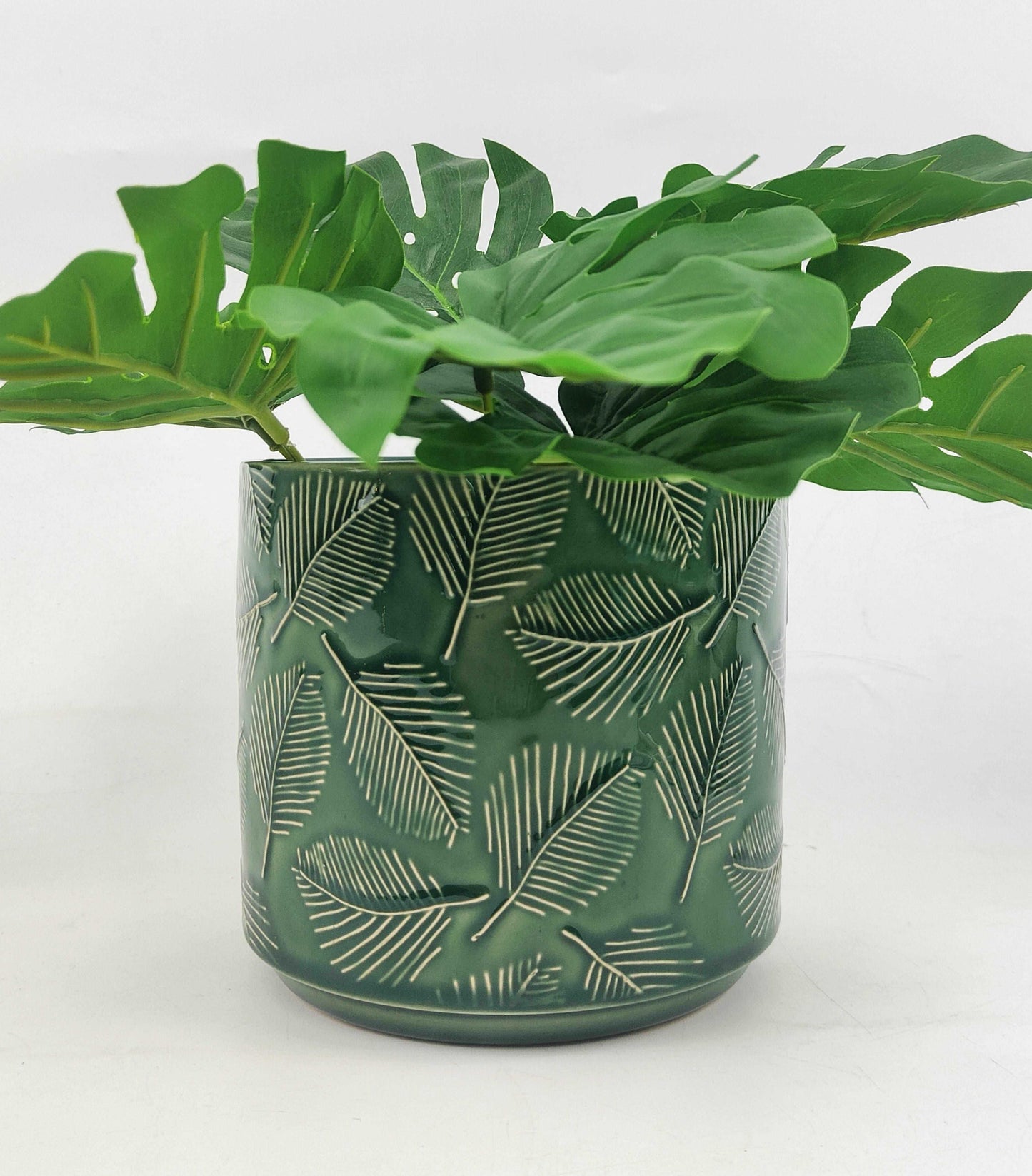 Indoor Ceramic Pots | Stylish Ceramic Planter | Hello Plants