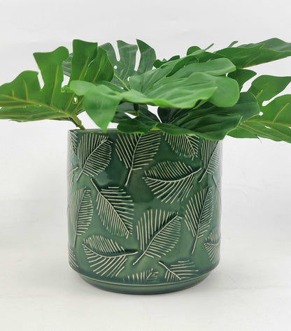 Indoor Ceramic Pots | Stylish Ceramic Planter | Hello Plants